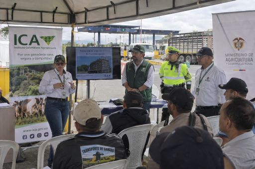 Documentos y condiciones necesarias para la movilización de bovinos