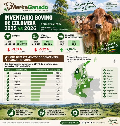 inventario nacional;