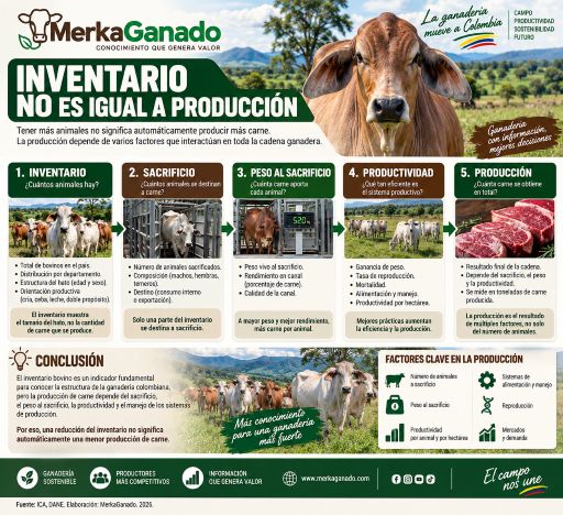 Diferencia entre inventario bovino y producción de carne.