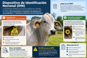 Dispositivo de Identificación Nacional DIN con identificación visual y RFID