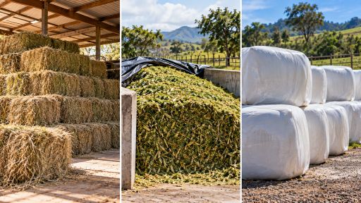 Heno, ensilaje y henolaje como alternativas para conservar alimento bovino