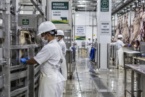 Noticias ganaderas 2026: sacrificio de ganado bovino en Colombia