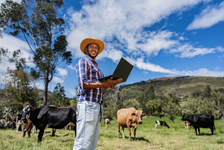 Consulta de información pecuaria en SINIGAN V6
